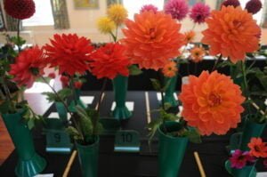 Crowhurst and District Horticultural Society