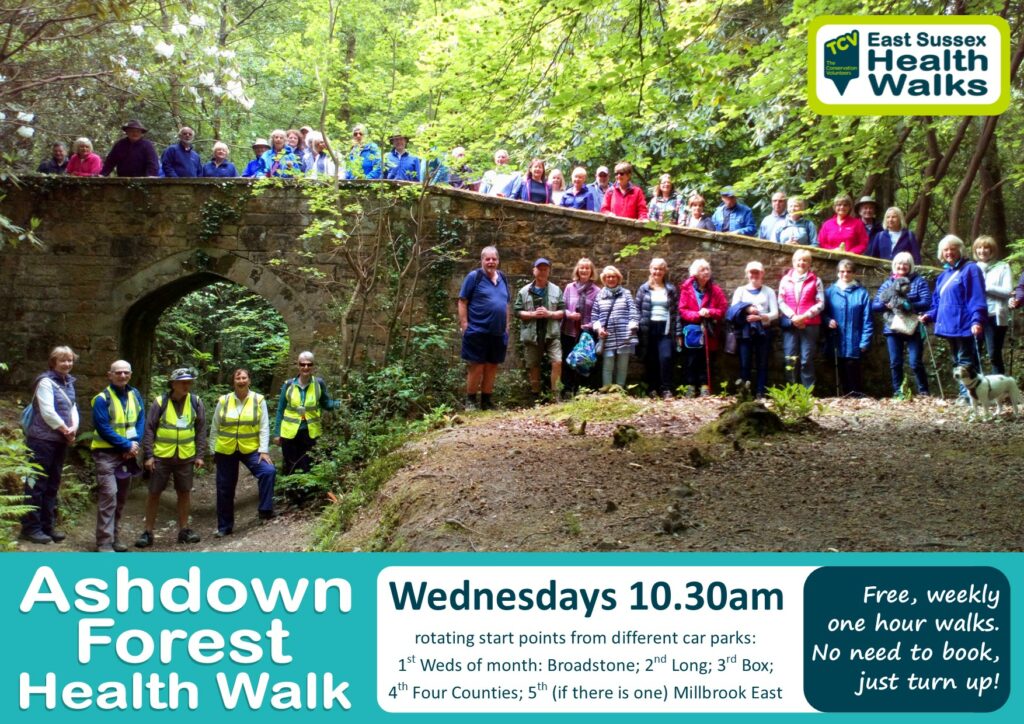 Ashdown Forest Health Walk