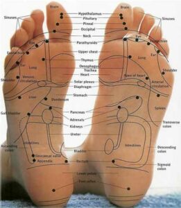 Bliss Holistics - Holistic Health and Wellbeing