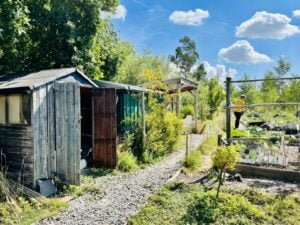 Rye Community Garden