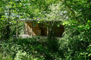 Forest Garden Shovelstrode Ltd