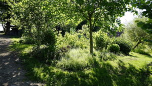 Forest Garden Shovelstrode Ltd