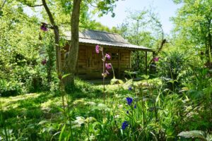 Forest Garden Shovelstrode Ltd