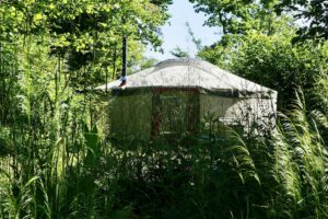 Forest Garden Shovelstrode Ltd