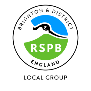 Eng RSPB BRIGHTON DISTRICT LOCAL GROUP COLOUR RGB.png