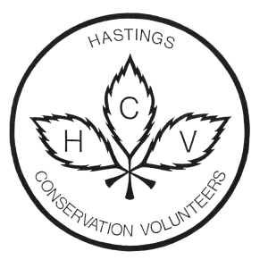 hcv logo retouched.png