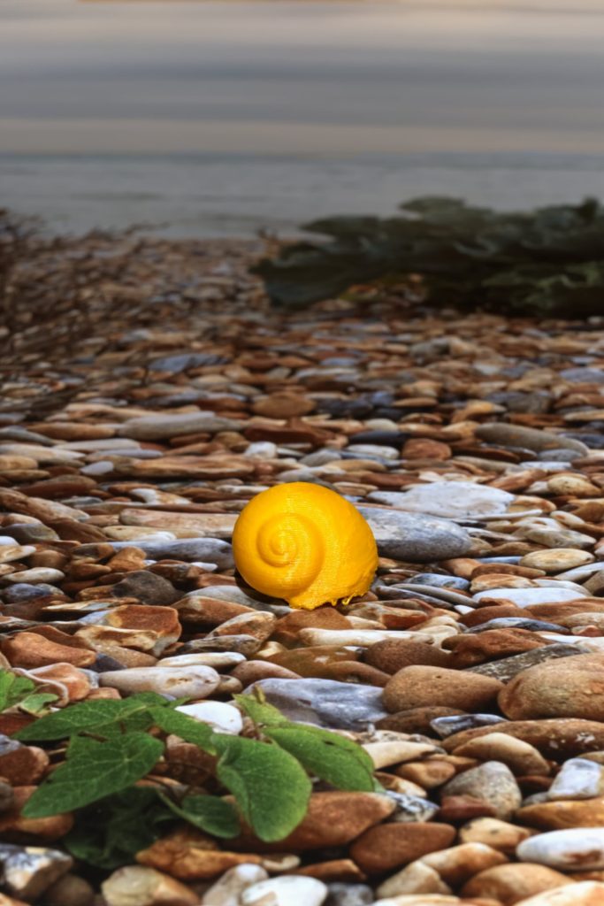 Natural Simulacra 2025 detail.jpg