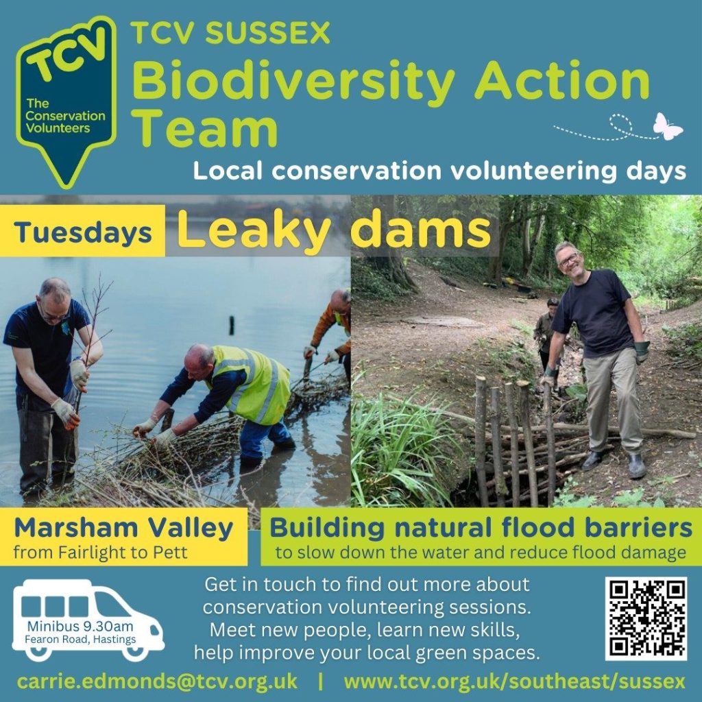 TCV Sussex 2 Tues.jpg