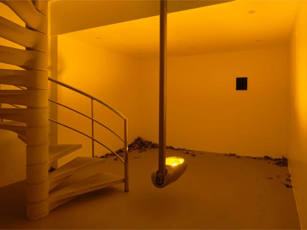 Untitled design.webp